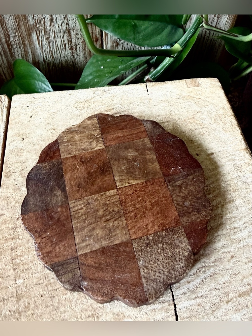 Magnolia Rustic Wood Coaster Set of 4 | Scalloped Farmhouse Checkered Coasters